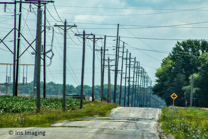 Road in Wellington Township