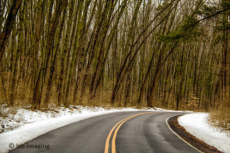 Road in Findley State Park